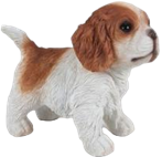 Dog Product