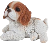 Dog Product