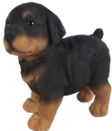 Dog Product