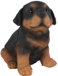 Dog Product