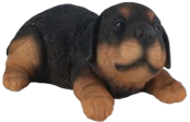 Dog Product