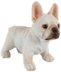 Dog Product