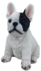 Dog Product