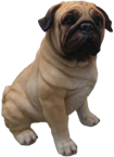 Dog Product