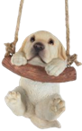 Dog Product
