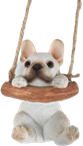 Dog Product