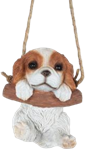 Dog Product