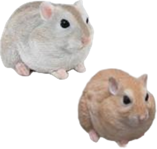 Hamster Product