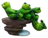 Frog Product