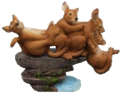 Kangaroo Product