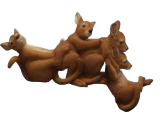 Kangaroo Product