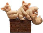 Pig Product