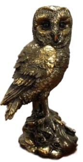 Owl Product