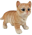 Cat Product