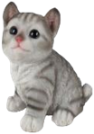 Cat Product