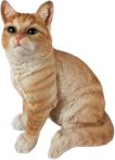 Cat Product