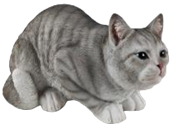 Cat Product