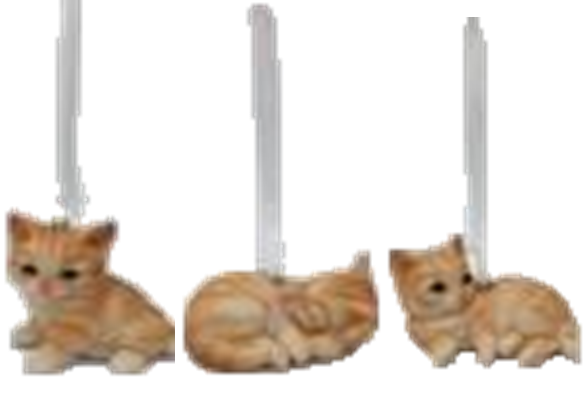 Cat Product