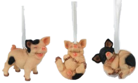 Pig Product