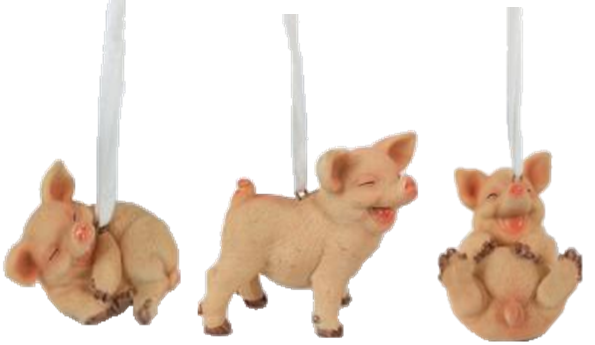 Pig Product
