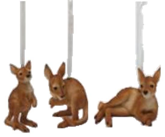 Kangaroo Product