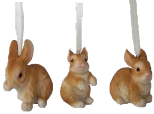Rabbit Product