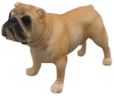 Dog Product