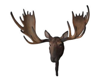 Animal Ornament