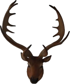 Animal Ornament