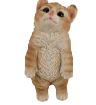 Cat Product