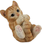 Cat Product