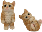 Cat Product