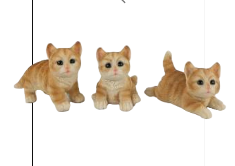 Cat Product