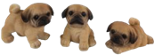Dog Product