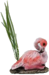 Flamingo Product