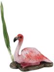 Flamingo Product