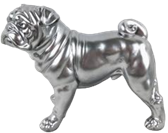 Dog Product