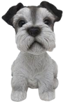 Dog Product