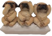 Dog Product