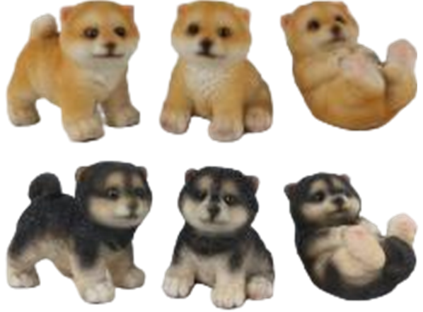 Dog Product