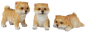 Dog Product