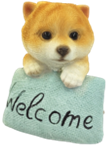 Dog Product