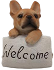 Dog Product