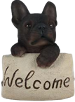 Dog Product