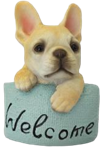 Dog Product