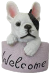 Dog Product