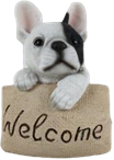 Dog Product