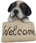 Dog Product
