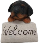 Dog Product