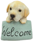Dog Product